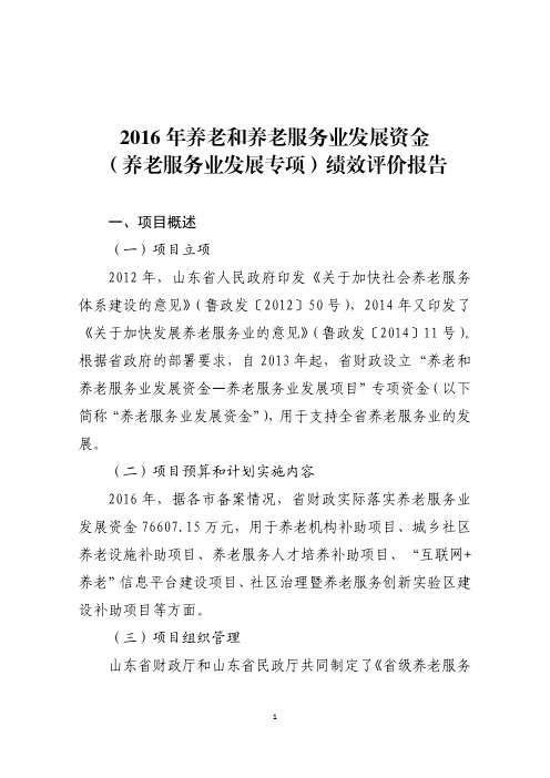养老和养老服务业发展资金(养老服务业发展专项)绩效评价报告