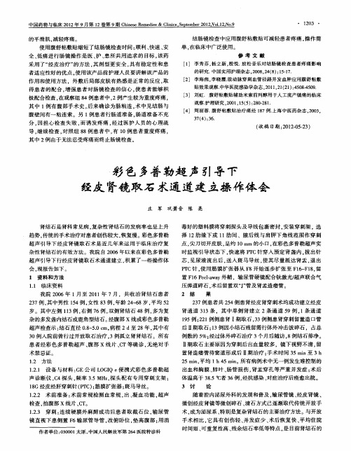 彩色多普勒超声引导下经皮肾镜取石术通道建立操作体会