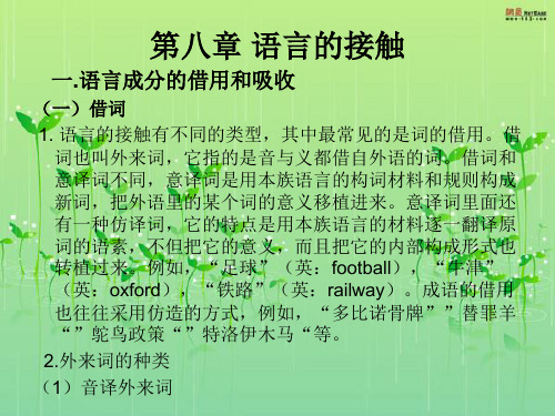 第八章 语言的接触