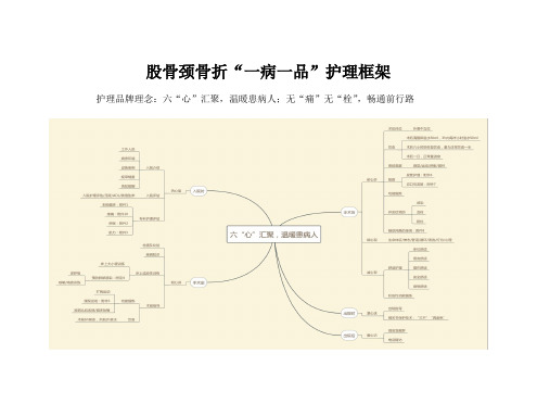 股骨颈骨折一病一品-精华版