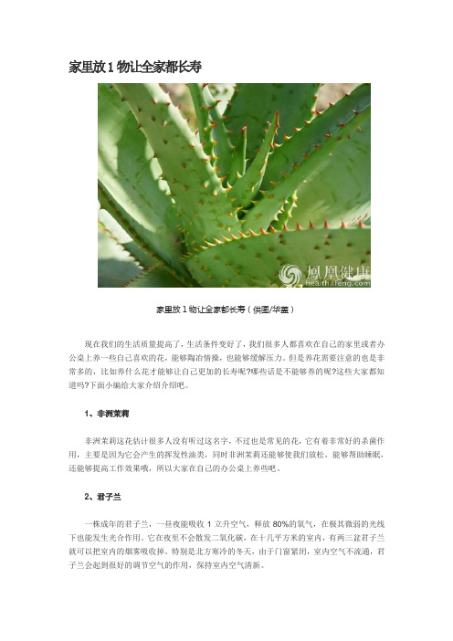 家里放1物让全家都长寿