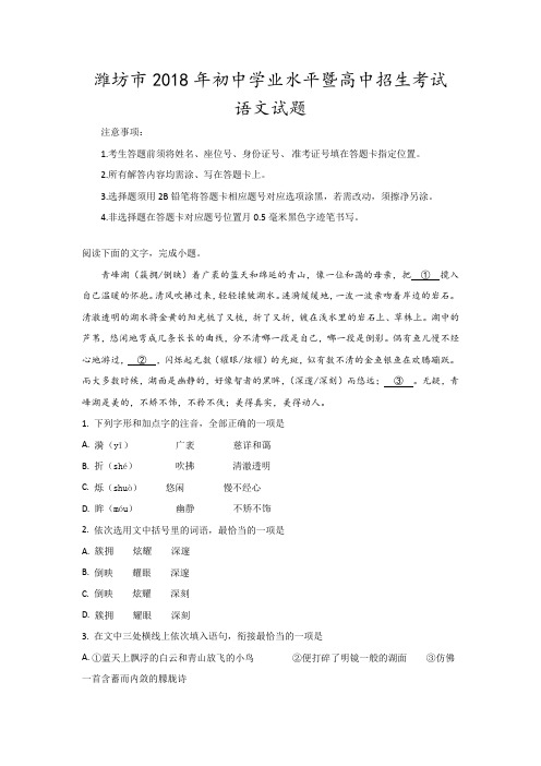 2018年山东省潍坊市中考语文试题及参考解析