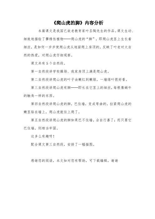 《爬山虎的脚》内容分析