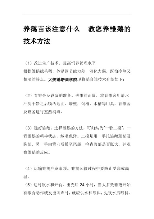 养鹅苗该注意什么  教您养雏鹅的技术方法