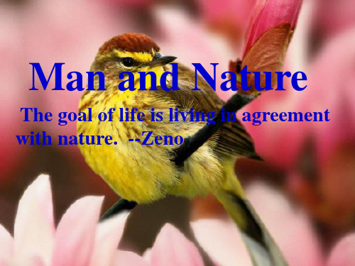Man and nature