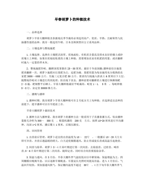 早春胡萝卜的种植技术