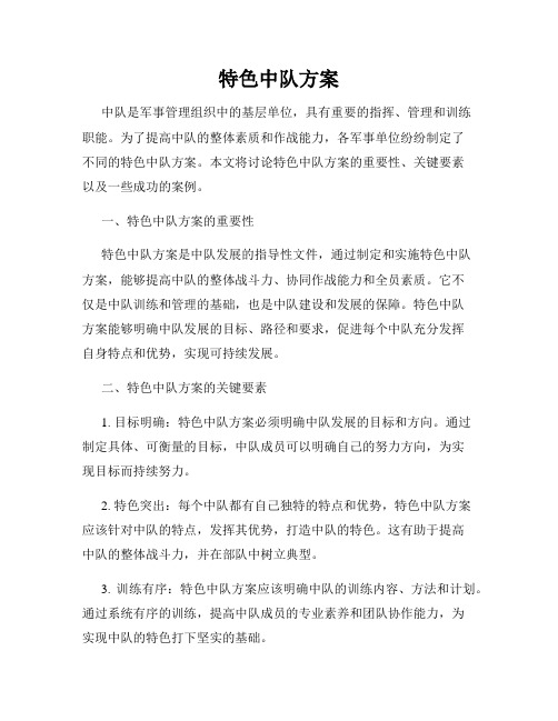 特色中队方案