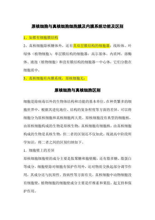 原核细胞与真核细胞区别