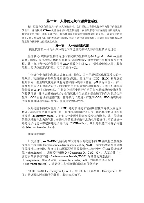 人体的无氧代谢供能系统