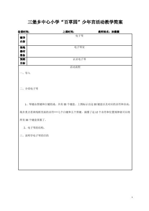 2.少年宫活动电子琴辅导简案资料