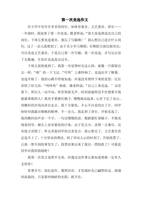 第一次竞选作文范文精选