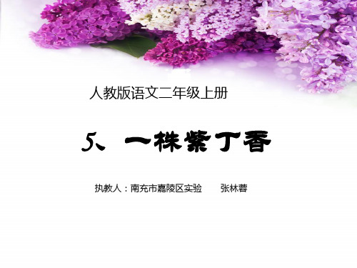 二年级语文5一株紫丁香优秀课件