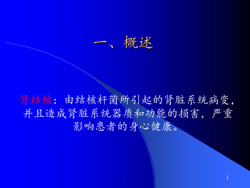 肾结核的诊断与治疗PPT课件
