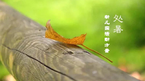 幼儿园活动方案：二十四节气——处暑