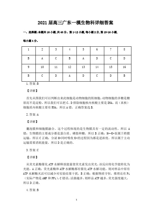 2021届高三广东一模生物科详细答案