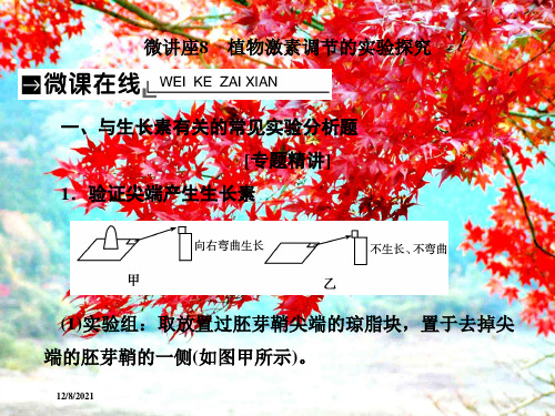高考生物总复习微讲座8植物激素调节的实验探究课件高三全册生物课件