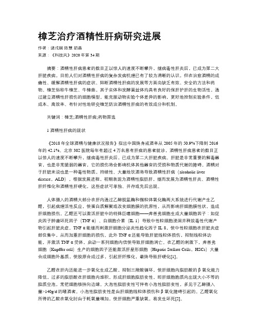 樟芝治疗酒精性肝病研究进展