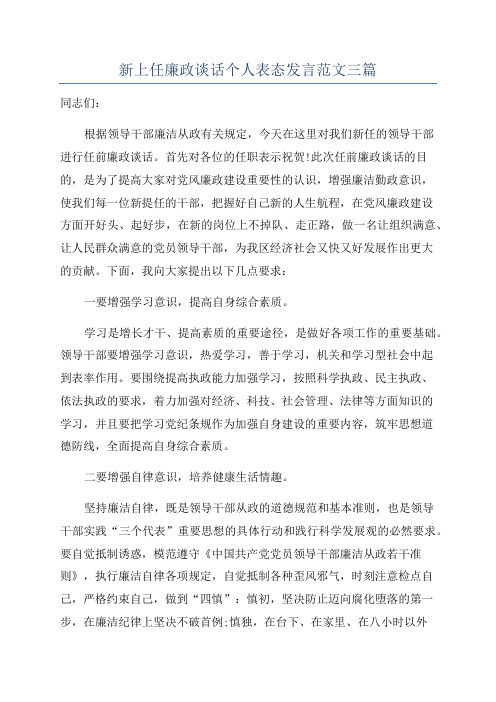 新上任廉政谈话个人表态发言范文三篇