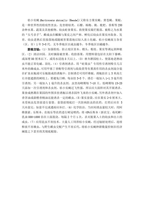 桔小实蝇
