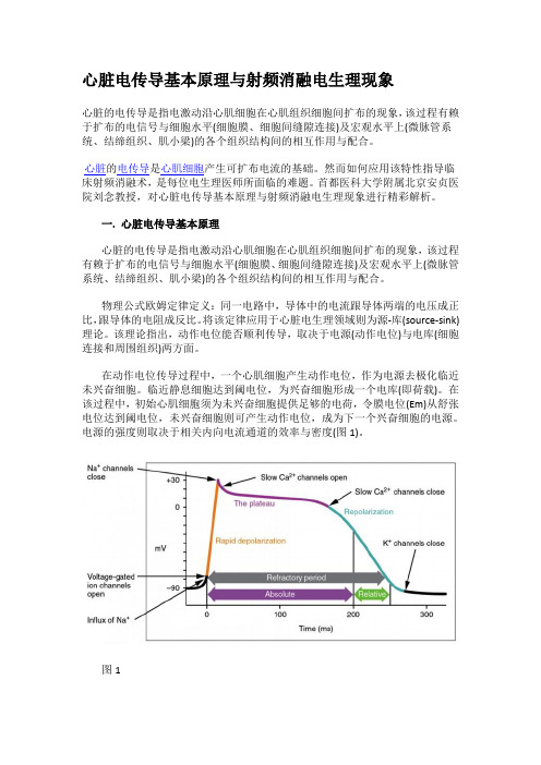 心脏电传导基本原理与射频消融电生理现象