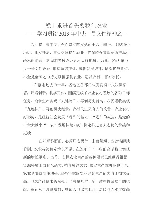 学习中央一号文件精神之评论