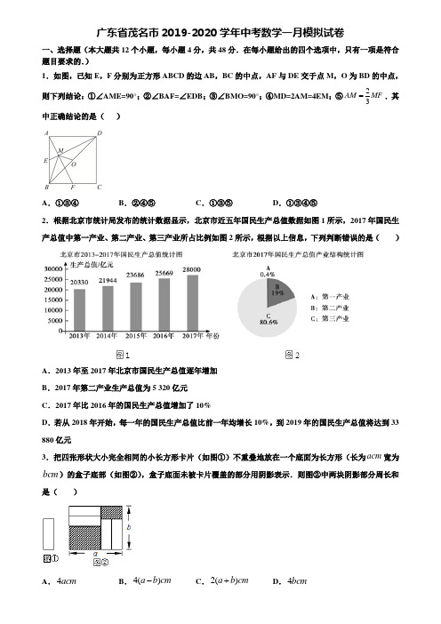 广东省茂名市2019-2020学年中考数学一月模拟试卷含解析