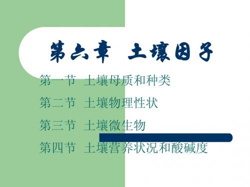 第6章  土壤因子