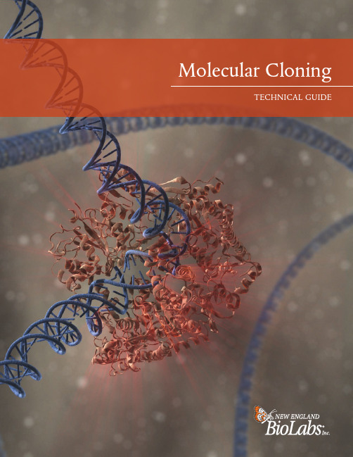 Molecular Cloning_Technical guide