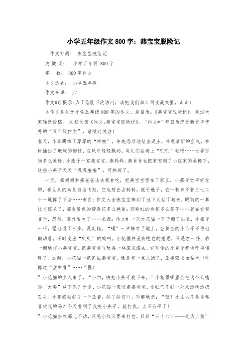 小学五年级作文800字：燕宝宝脱险记