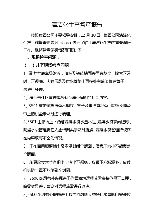 清洁化生产督查报告 (1)