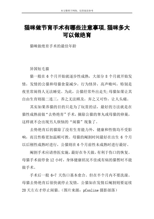 猫咪做节育手术有哪些注意事项,猫咪多大可以做绝育