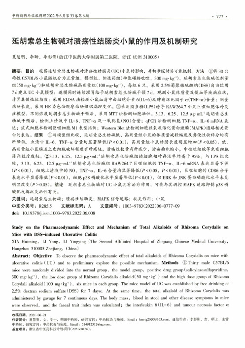 延胡索总生物碱对溃疡性结肠炎小鼠的作用及机制研究