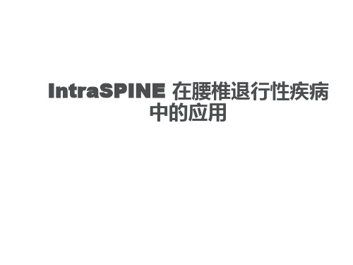 intraspine--椎板间弹性固定术及其临床应用