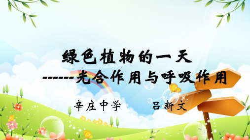 光合作用和呼吸作用优质课课件