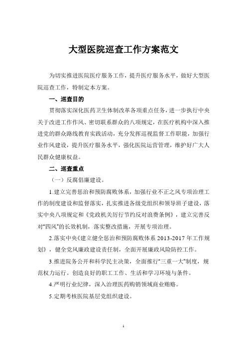大型医院巡查工作方案范文