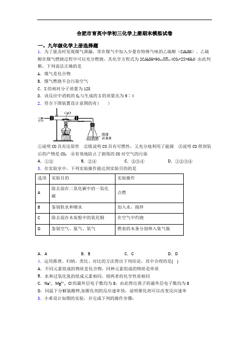 合肥市育英中学初三化学初三化学上册期末模拟试卷