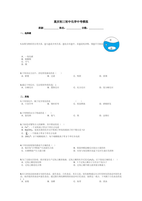 重庆初三初中化学中考模拟带答案解析
