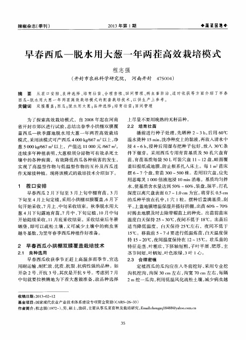 早春西瓜-脱水用大葱一年两茬高效栽培模式
