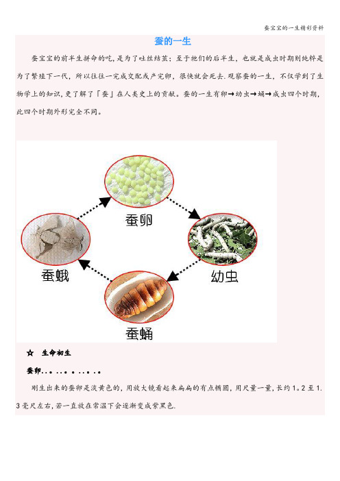 蚕宝宝的一生精彩资料
