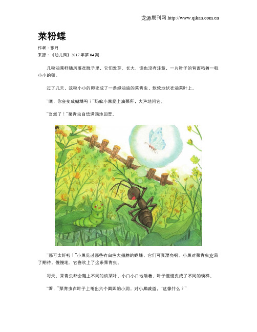 菜粉蝶