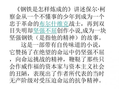 【人教版】八年级语文上名著导读ppt课件(49页)