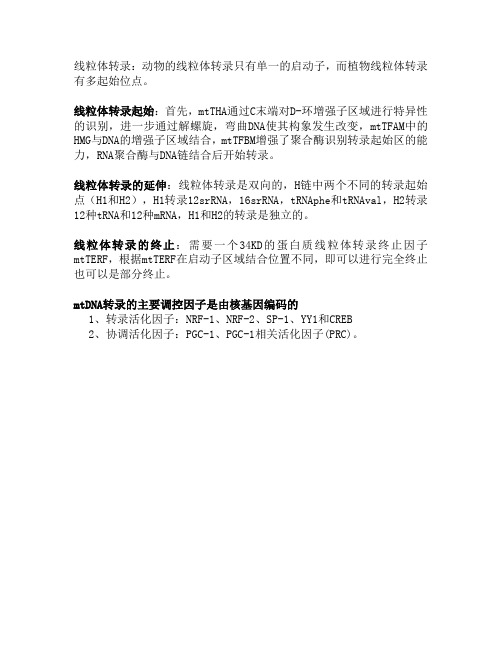 线粒体DNA转录的过程及相关因子