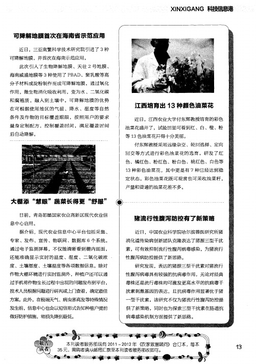 江西培育出13种颜色油菜花