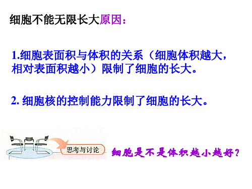 细胞分裂
