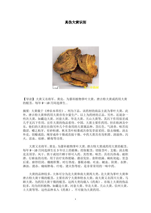 大黄真伪鉴别