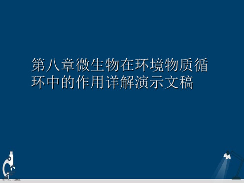 第八章微生物在环境物质循环中的作用详解演示文稿