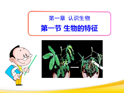 《生物的特征》认识生物PPT课件3