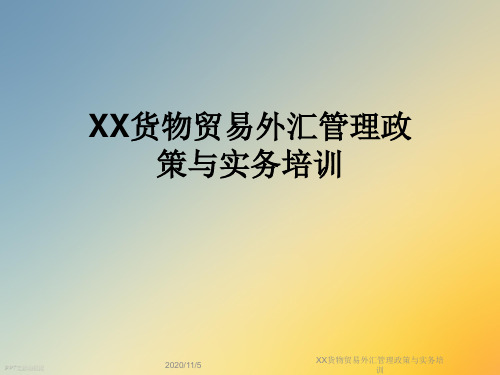 XX货物贸易外汇管理政策与实务培训