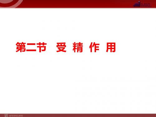 【人教版】高中生物必修二《 2.1.2 受精作用》课件