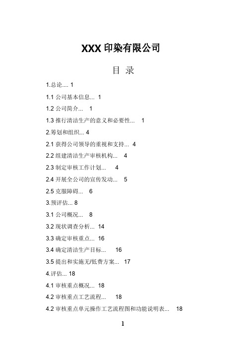 印染有限公司清洁生产审核报告